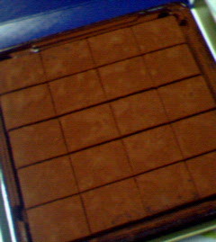 200601031219000.jpg